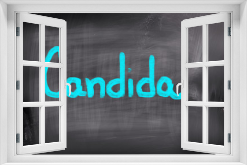 Candida Concept