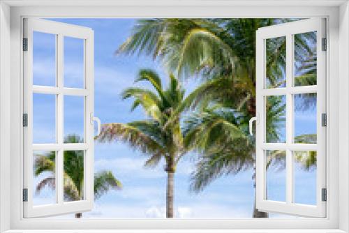 Fototapeta Naklejka Na Ścianę Okno 3D - The Palms of the Beach