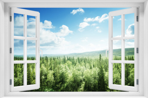 Fototapeta Naklejka Na Ścianę Okno 3D - forest in sunny day