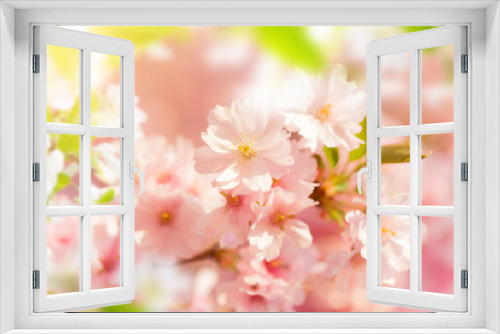 Fototapeta Naklejka Na Ścianę Okno 3D - Spring border background with pink blossom