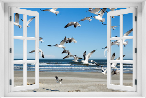 Fototapeta Naklejka Na Ścianę Okno 3D - Seagulls hover in the air against the sea