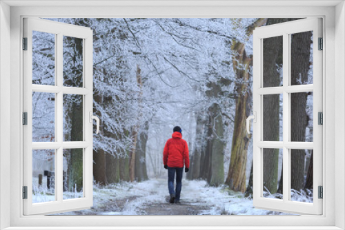 Fototapeta Naklejka Na Ścianę Okno 3D - Man in red jacket walking alone in a lane of trees with hoarfrost on a cold winter morning.