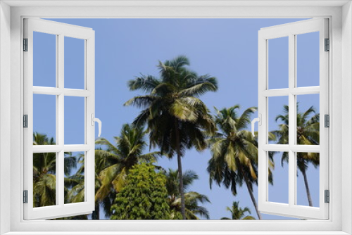 Fototapeta Naklejka Na Ścianę Okno 3D - Кокосовые пальмы 