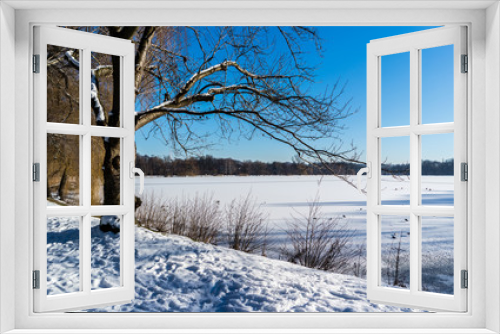 Fototapeta Naklejka Na Ścianę Okno 3D - Schwanenteich im Winter