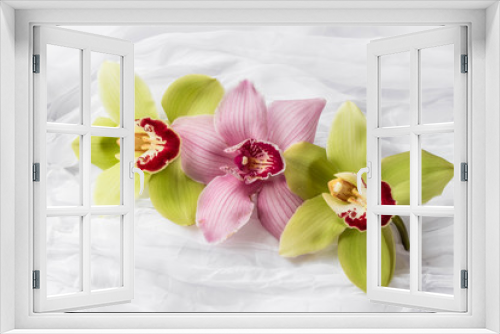 Fototapeta Naklejka Na Ścianę Okno 3D - Pink and green orchids - white background