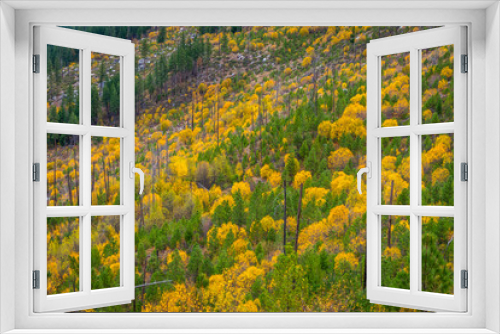Fototapeta Naklejka Na Ścianę Okno 3D - Mountain Home Road, Leavenworth