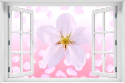 Fototapeta Naklejka Na Ścianę Okno 3D - 桜のイメージ