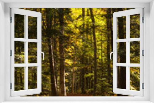 Fototapeta Naklejka Na Ścianę Okno 3D - Fall Forest Foliage