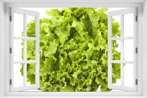 Fototapeta Naklejka Na Ścianę Okno 3D - Salade verte