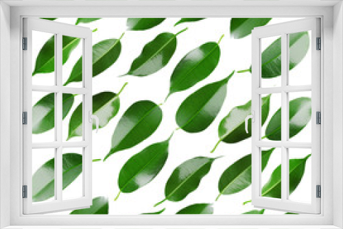 Fototapeta Naklejka Na Ścianę Okno 3D - Collage of beautiful green leaves isolated on white