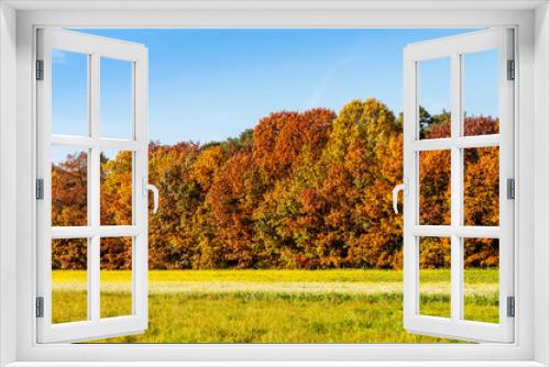 Fototapeta Naklejka Na Ścianę Okno 3D - 5440 Herbst