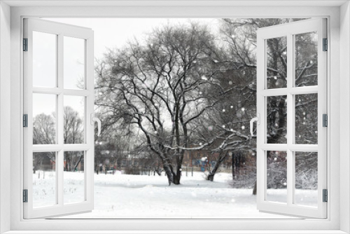 Fototapeta Naklejka Na Ścianę Okno 3D - landscape winter park trees