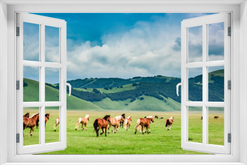 Fototapeta Naklejka Na Ścianę Okno 3D - Wild horses in valley near Castelluccio, Umbria, Italy