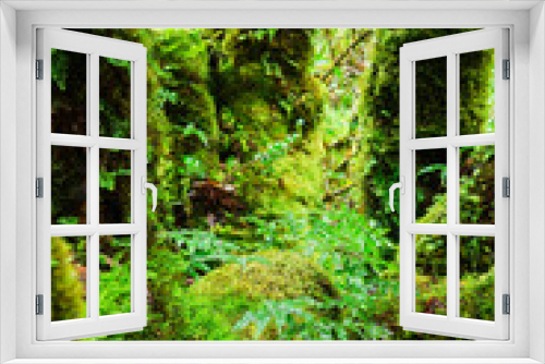 Fototapeta Naklejka Na Ścianę Okno 3D - The integrity of the forest.