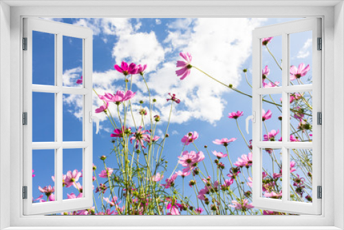 Fototapeta Naklejka Na Ścianę Okno 3D - Flowers at sunrise
