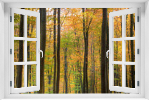 Fototapeta Naklejka Na Ścianę Okno 3D - Waldweg im Oktober (1)