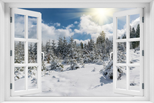 Fototapeta Naklejka Na Ścianę Okno 3D - Fairy winter forest