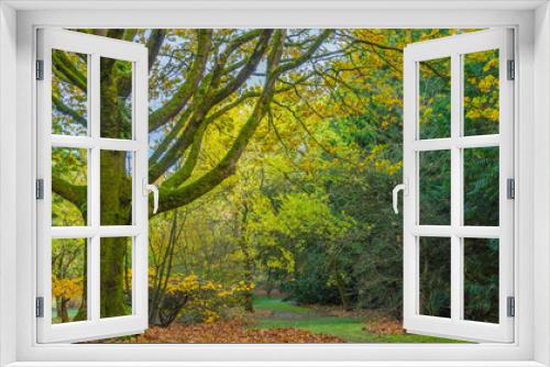 Fototapeta Naklejka Na Ścianę Okno 3D - Washington park arboretum