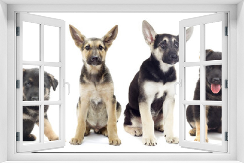 Fototapeta Naklejka Na Ścianę Okno 3D -  set of pets