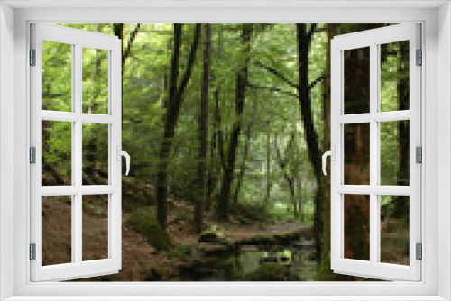 Fototapeta Naklejka Na Ścianę Okno 3D - Sous-bois, Bretagne