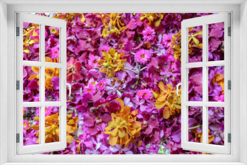 Fototapeta Naklejka Na Ścianę Okno 3D - Pink and yellow orchid flower background