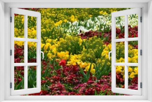 Fototapeta Naklejka Na Ścianę Okno 3D - Blütenmeer im Frühling farbenfroh
