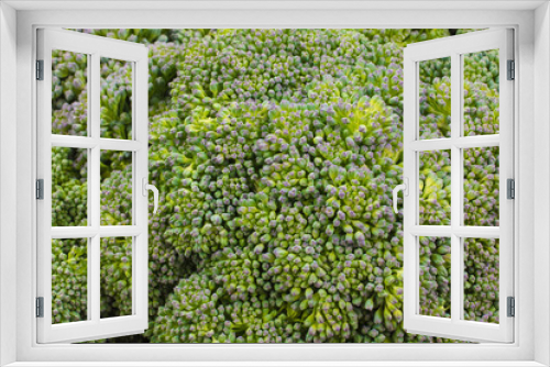 Fototapeta Naklejka Na Ścianę Okno 3D - Close up fresh broccoli background texture