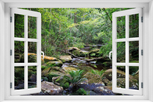 Fototapeta Naklejka Na Ścianę Okno 3D - Drought river in tropical rainforest