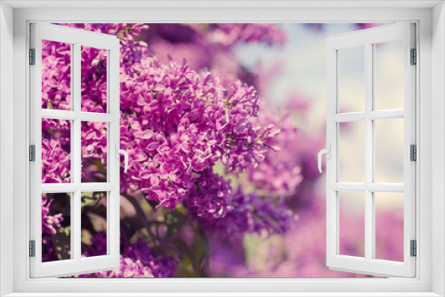 Fototapeta Naklejka Na Ścianę Okno 3D - Beautiful purple lilac flowers outdoors