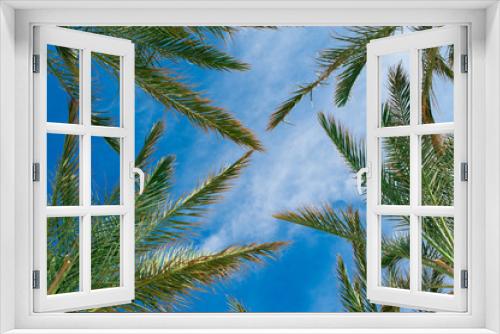 Fototapeta Naklejka Na Ścianę Okno 3D - palm branches against the blue sky tropical concept