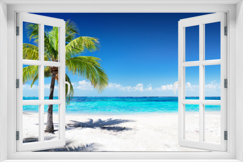 Fototapeta Naklejka Na Ścianę Okno 3D - Scenic Coral Beach With Palm Tree
