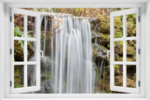 Fototapeta Naklejka Na Ścianę Okno 3D - Florida Natural Spring Water Fall