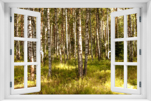 Fototapeta Naklejka Na Ścianę Okno 3D - Summer landscape. Forest and field on a sunny day