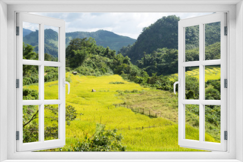 Fototapeta Naklejka Na Ścianę Okno 3D - Rice farm on the mountain