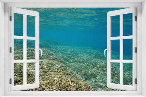 Fototapeta Naklejka Na Ścianę Okno 3D - Underwater shallow ocean floor covered by corals