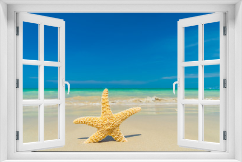 Fototapeta Naklejka Na Ścianę Okno 3D - Starfish at the beach