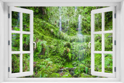 Fototapeta Naklejka Na Ścianę Okno 3D - Waterfall in the Levada of Caldeirao Verde, Madeira (Portugal) 