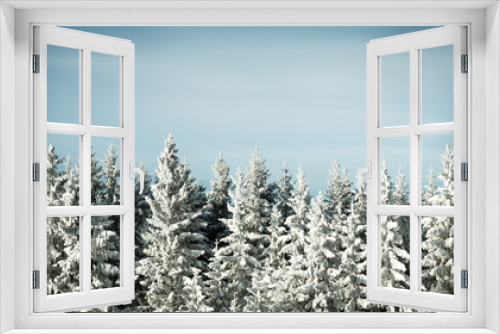 Fototapeta Naklejka Na Ścianę Okno 3D - winter background