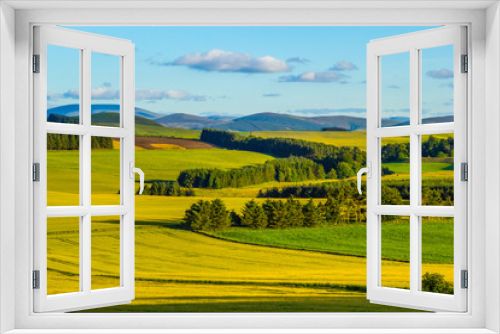 Fototapeta Naklejka Na Ścianę Okno 3D - British landscape in Summer