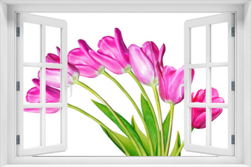 Fototapeta Naklejka Na Ścianę Okno 3D - spring flowers tulips isolated on white background.