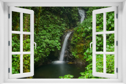 Fototapeta Naklejka Na Ścianę Okno 3D - Trekkin tour in Monteverde