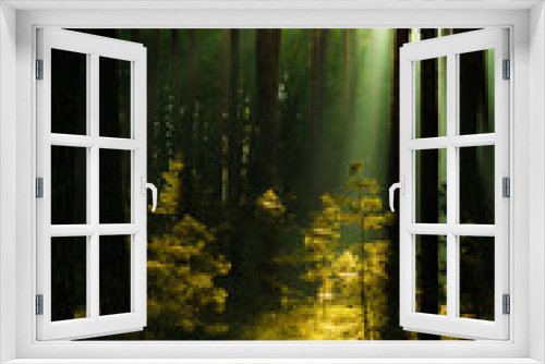 Fototapeta Naklejka Na Ścianę Okno 3D - Sonnenstrahlen im Wald, Harz in Deutschland
