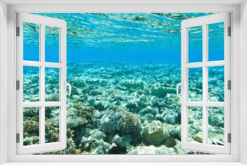 Fototapeta Naklejka Na Ścianę Okno 3D - Tranquil underwater