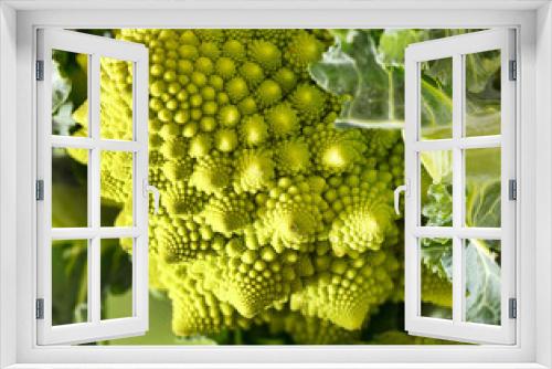 Fototapeta Naklejka Na Ścianę Okno 3D - Romanesco broccoli, or Roman cauliflower