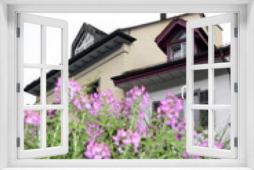 Fototapeta Naklejka Na Ścianę Okno 3D - House in Brugg / Flowers phlox and a private house in Brugg (Switzerland)