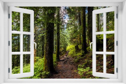 Fototapeta Naklejka Na Ścianę Okno 3D - deserted hiking trail in the middle of a lush forest of pines in the rocky mountains of british columbia