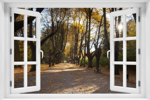 Fototapeta Naklejka Na Ścianę Okno 3D - Lindenallee im Herbst