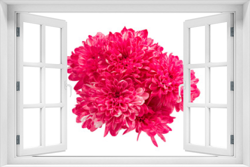 Fototapeta Naklejka Na Ścianę Okno 3D - chrysanthemum flower