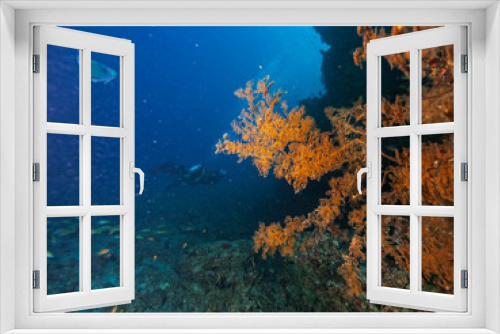 Fototapeta Naklejka Na Ścianę Okno 3D - Group of scuba divers underwater