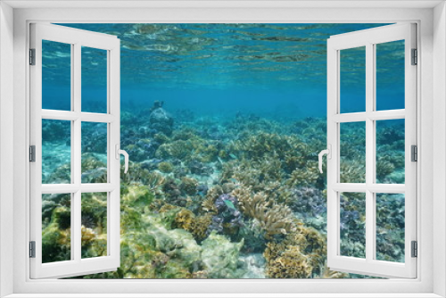 Fototapeta Naklejka Na Ścianę Okno 3D - Split view over and under water surface in the lagoon with the coast of Huahine island above waterline and corals underwater, Pacific ocean, French Polynesia